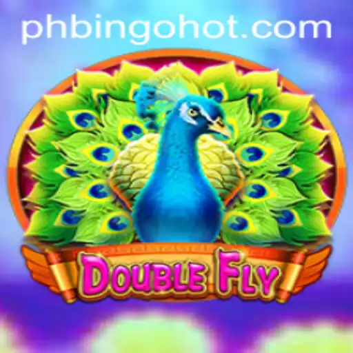 Unveiling the Thrills of DoubleFly: A Game for the Adventurous